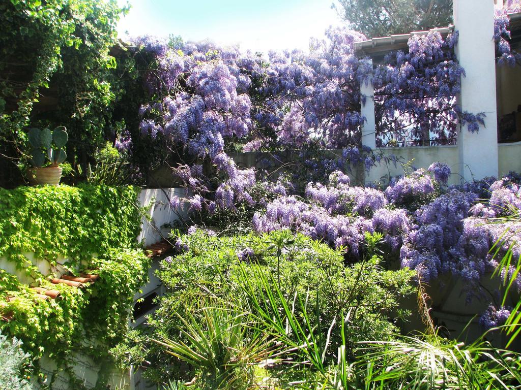 B&B La Salamandra Kitchengarden Forio di Ischia Exteriör bild