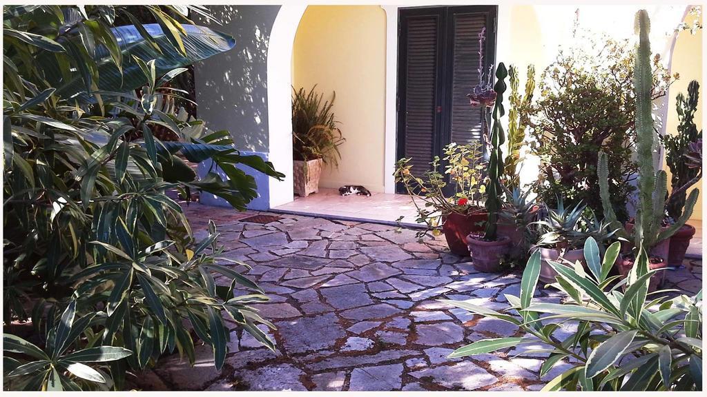 B&B La Salamandra Kitchengarden Forio di Ischia Exteriör bild