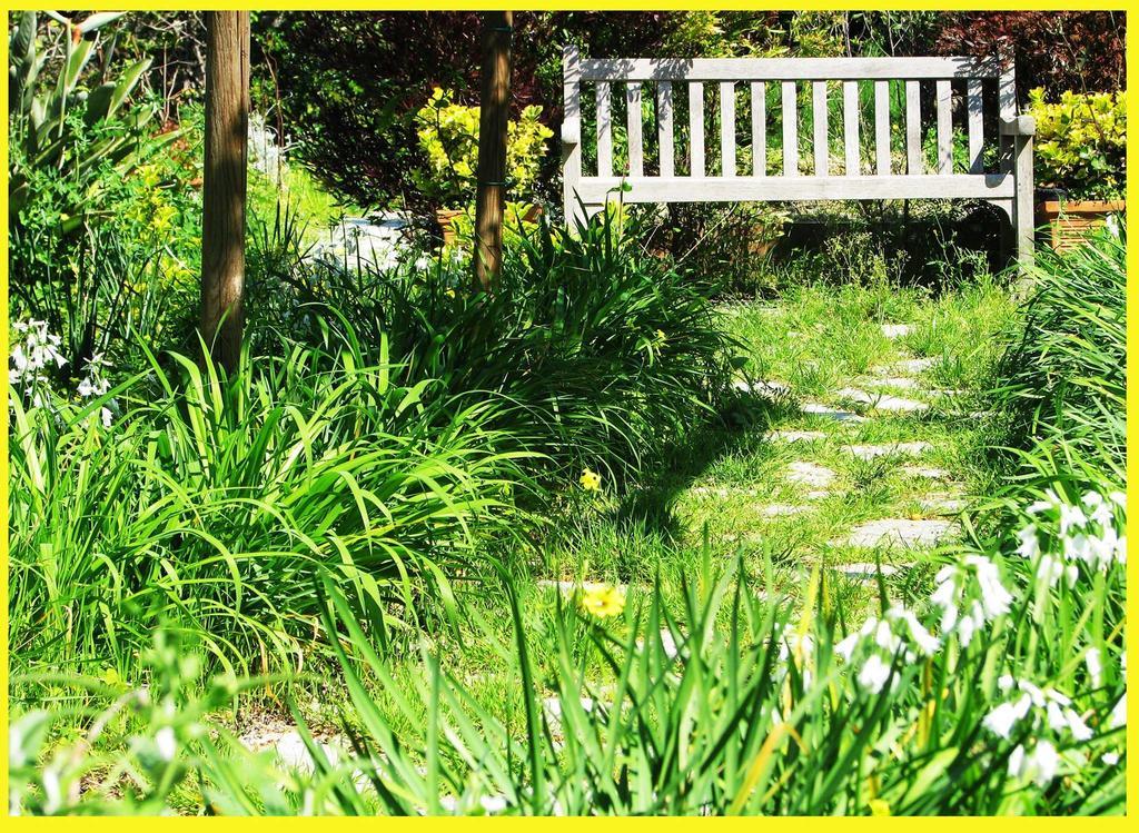 B&B La Salamandra Kitchengarden Forio di Ischia Exteriör bild