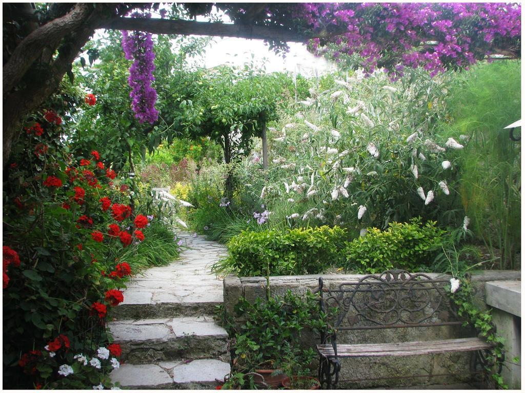 B&B La Salamandra Kitchengarden Forio di Ischia Exteriör bild