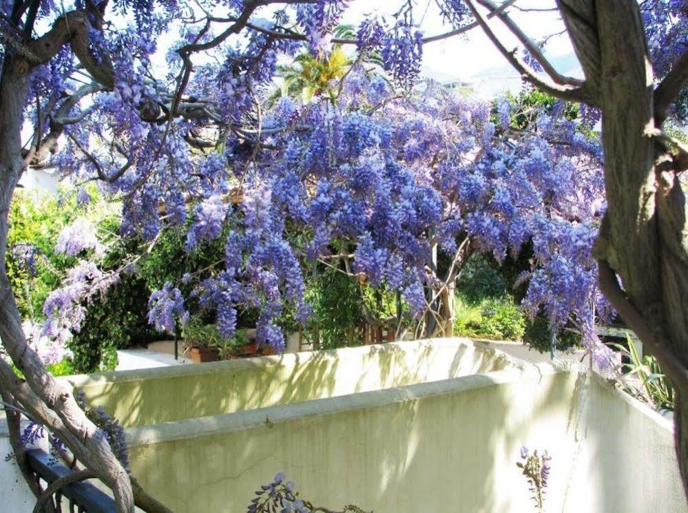 B&B La Salamandra Kitchengarden Forio di Ischia Exteriör bild