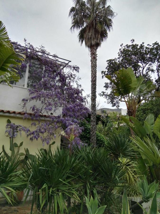 B&B La Salamandra Kitchengarden Forio di Ischia Exteriör bild