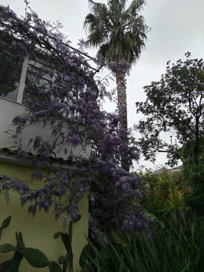 B&B La Salamandra Kitchengarden Forio di Ischia Exteriör bild