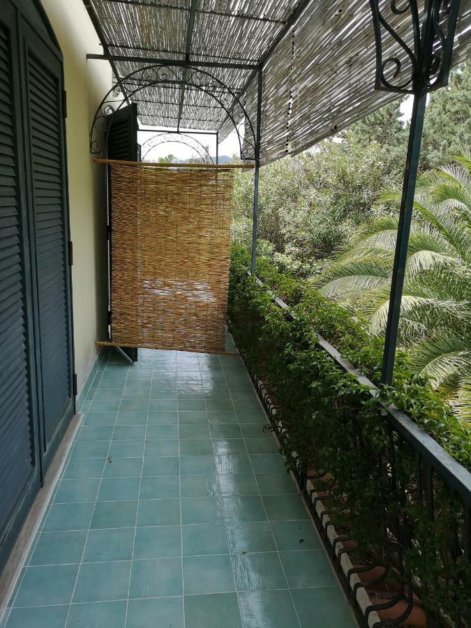 B&B La Salamandra Kitchengarden Forio di Ischia Exteriör bild